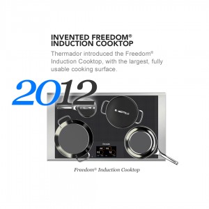 Freedom Induction Cooktop